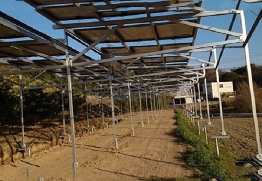Soporte de aluminio fotovoltaico para cobertizo agrícola en Japón 362.88 kw

